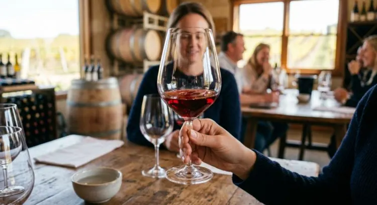 Vins du Mâconnais et Côte roannaise : le guide des amateurs